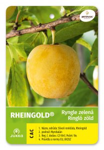 Ryngle RHEINGOLD