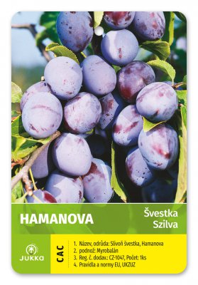 Švestka HAMANOVA