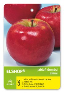 Jabloň ELSHOF®