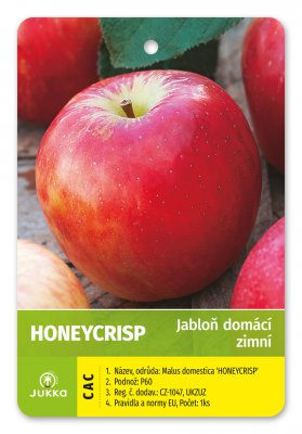 Jabloň HONEYCRISP