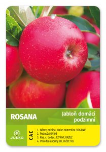 Jabloň ROSANA