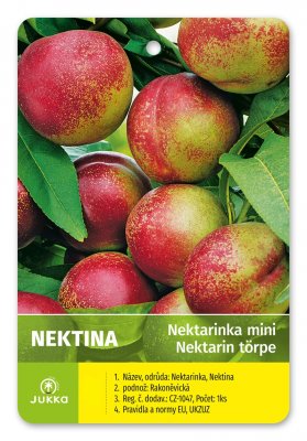 Nektarinka MINI NEKTINA - kontejner