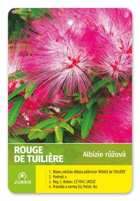 Albízia julibrissin - ROUGE de TULIÉRE® - kontejner