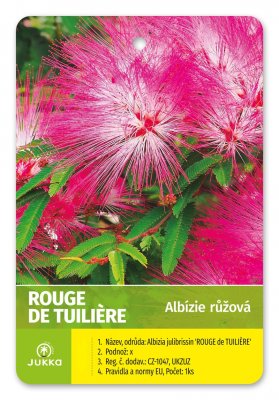 Albízia julibrissin - ROUGE de TULIÉRE® - kontejner