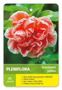 Granátové jablko PLENIFLORA