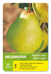 Hrušeň WILLIAMSOVA - kontejner