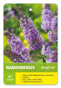 Motýlí keř - NANHONENSIS