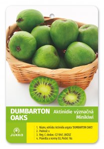 Kiwi DUO (A. arguta) DUMBARTON OAKS+OPYLOVAČ - kontejner