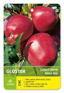 Jabloň GLOSTER - kontejner