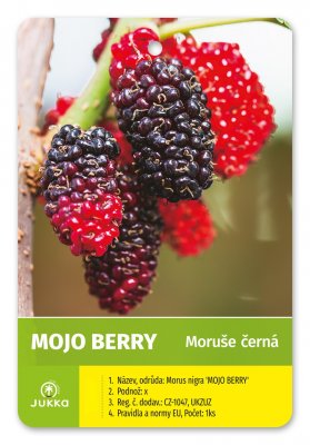 Moruše MOJO BERRY