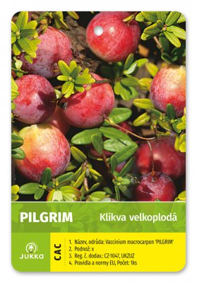 Klikva PILGRIM