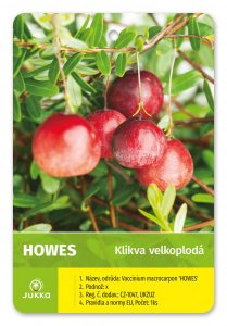 Klikva HOWES