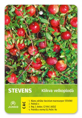 Klikva STEVENS