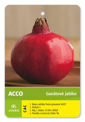 Granátové jablko ACCO - kontejner