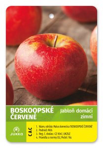 Jabloň BOSKOOPSKÉ ČERVENÉ - kontejner