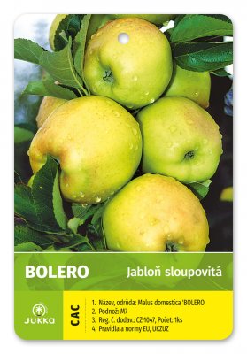 Jabloň sloupovitá BOLERO - kontejner