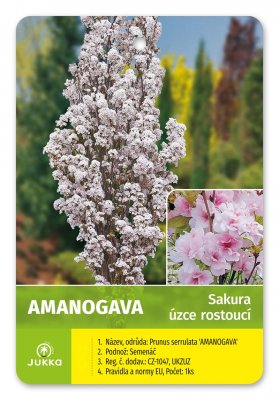 Sakura AMANOGAVA (úzce rostoucí) - kontejner