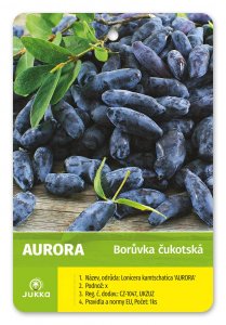 Čukotská borůvka AURORA