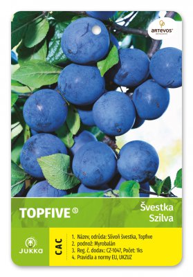 Švestka TOPFIVE®