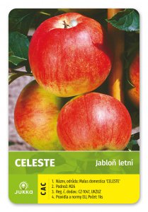 Jabloň CELESTE