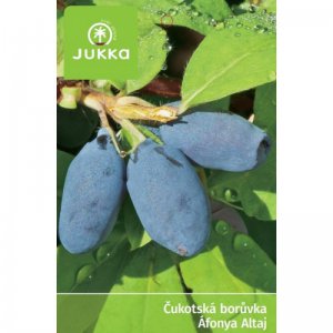 Čukotská borůvka BLUE TREASURE