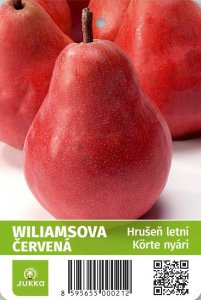 Hrušeň WILLIAMSOVA ČERVENÁ - kontejner