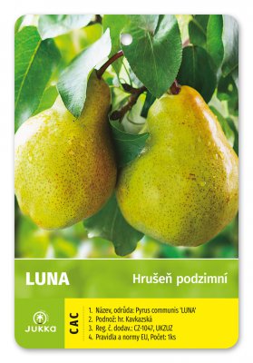 Hrušeň LUNA