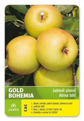 Jabloň GOLD BOHEMIA