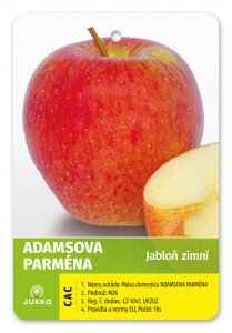 Jabloň ADAMSOVA PARMÉNA