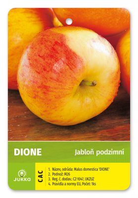 Jabloň DIONE