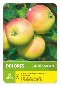 Jabloň DOLORES