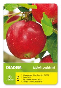 Jabloň DIADEM