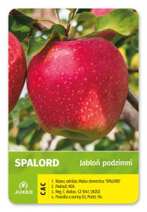 Jabloň SPALORD