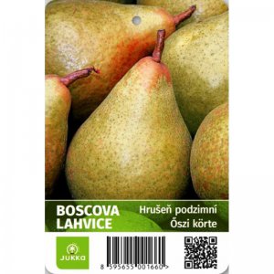 Hrušeň BOSCOVA LAHVICE