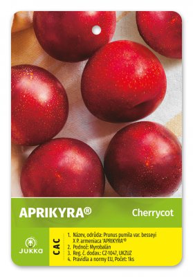 Cherrycot APRIKYRA®