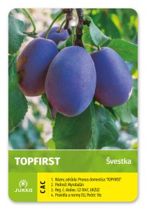 Švestka TOPFIRST