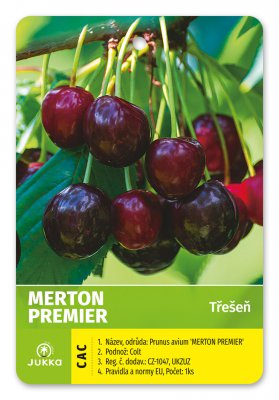 Třešeň MERTON PREMIER