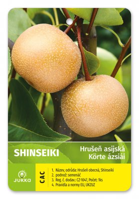 Asijská hrušeň SHINSEIKI - kontejner