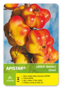 Jabloň APISTAR® - kontejner