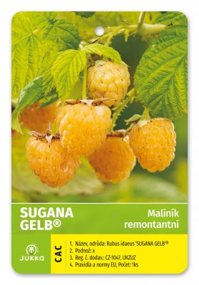 Maliník SUGANA  GELB® - kontejner