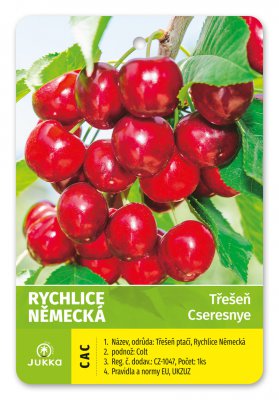 Třešeň RYCHLICE NĚMECKÁ - kontejner