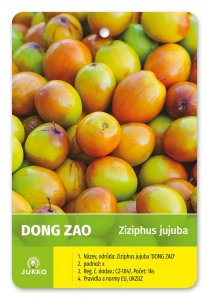 Ziziphus jujuba - Cicimek čínský DONG ZAO - malý