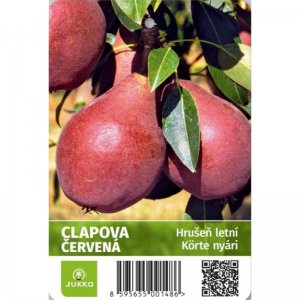 Hrušeň CLAPPOVA ČERVENÁ