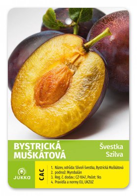 Švestka BYSTRICKÁ MUŠKÁTOVÁ - kontejner