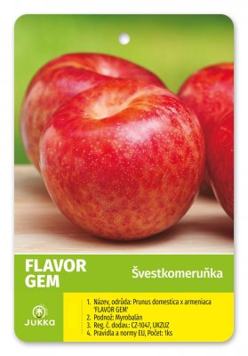 Švestkomeruňka FLAVOR GEM - kontejner