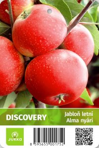 Jabloň DISCOVERY