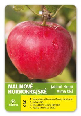 Jabloň MALINOVÉ HORNOKRAJSKÉ