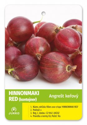 Angrešt keřový červený HINNONMÄKI ROT