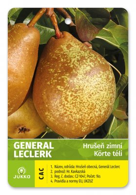 Hrušeň GENERÁL LECLERC