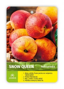 Nektarinka SUPER QUEEN